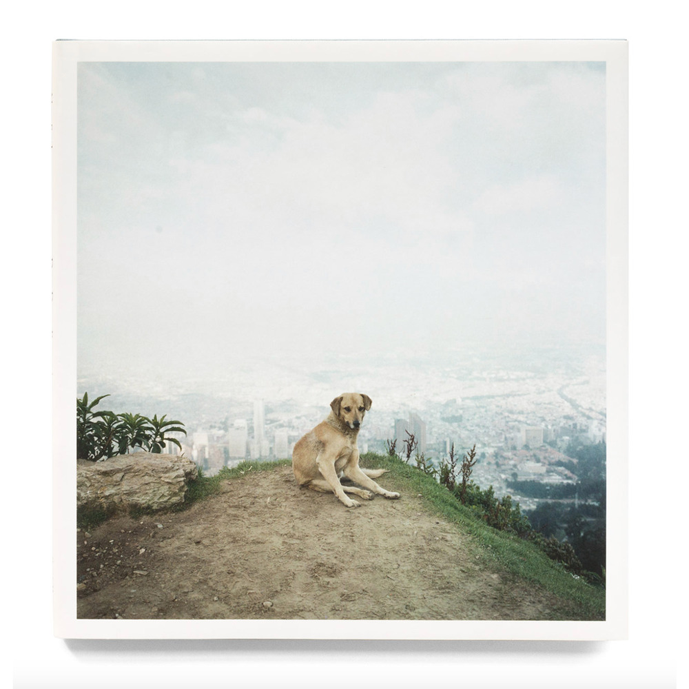 Alec Soth, Dog Days Bogota Hardcover Book RARE Minnesota Photographer